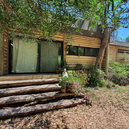 Chalet Los Troncos Sauce de Portezuelo Exterior foto