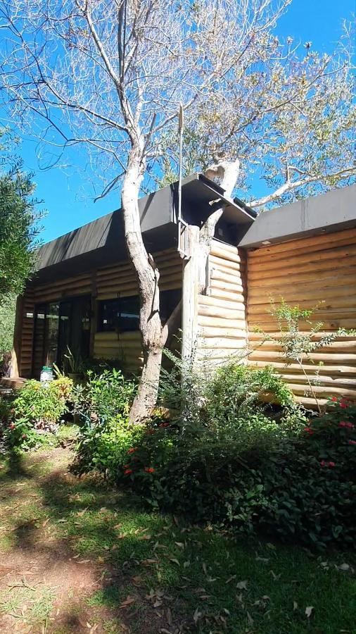 Chalet Los Troncos Sauce de Portezuelo Exterior foto